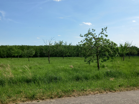 Makler Elsdorf Koeln